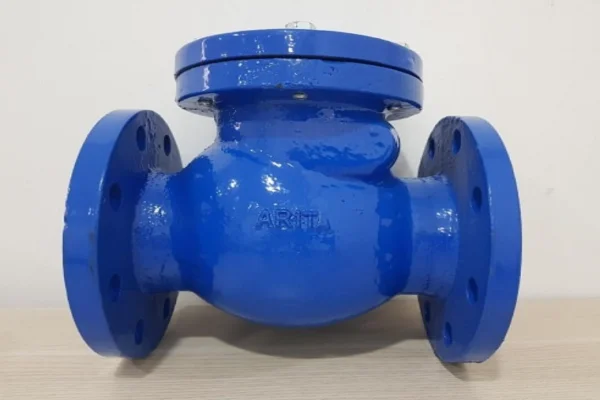Thiết bị van 1 chiều DN100